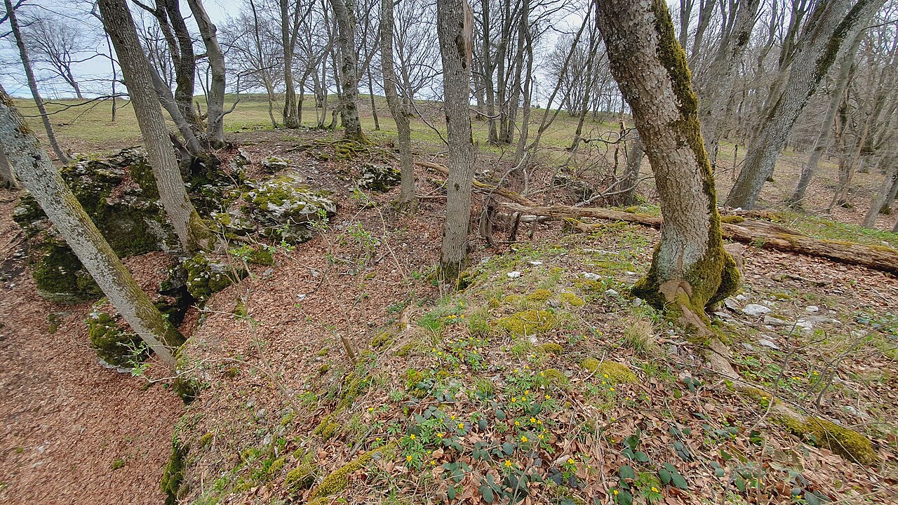 Castle Randeck