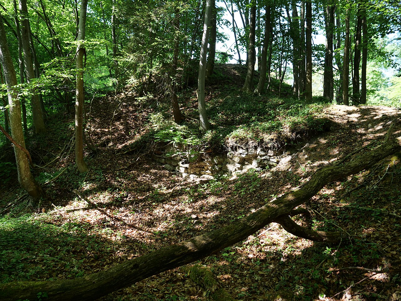 Einige Spuren und Überreste der Burg Spiegelberg