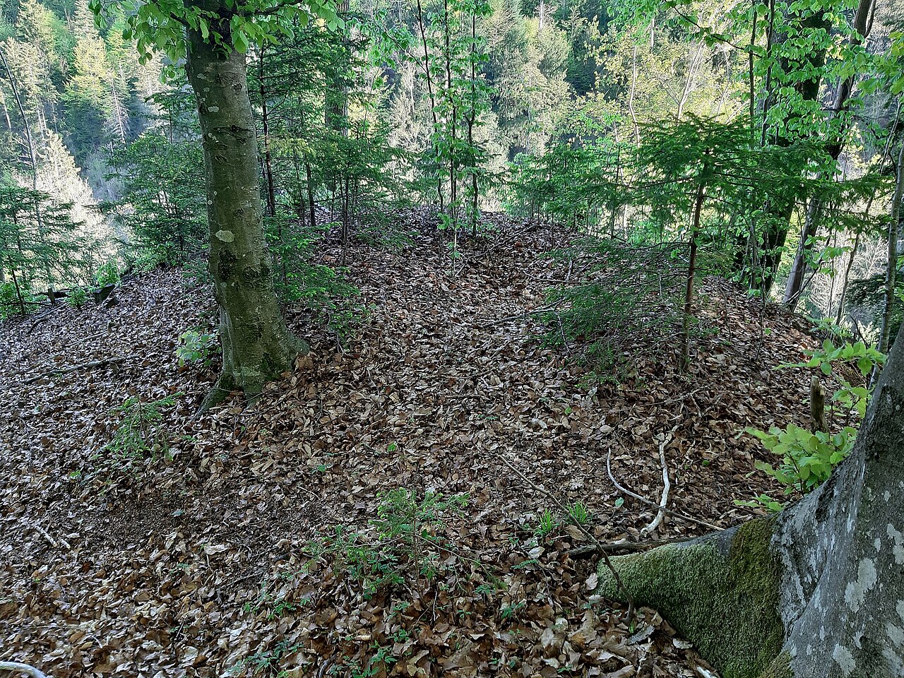 Bodensenke auf Burgstelle Unter Baliken
