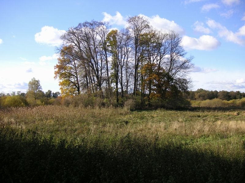 Slawischer Burgwall am Gädebehner See