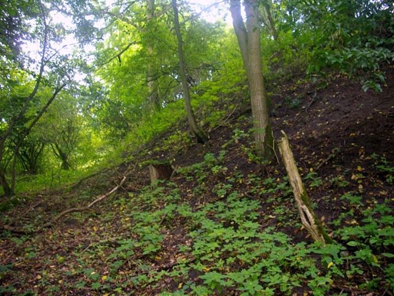 Burgwall Tückhude