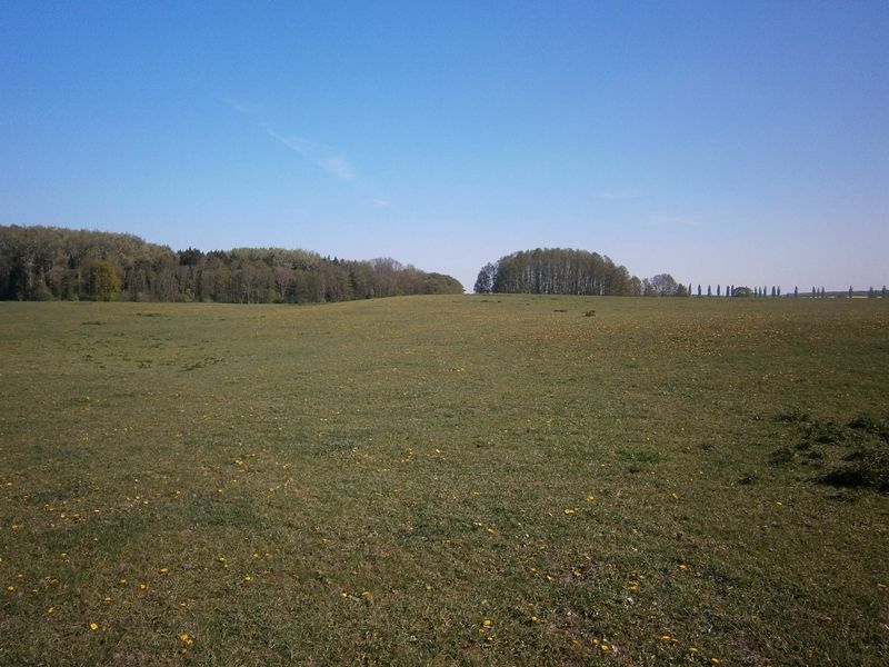 Die schwache Erhebung im Bild stellt den Burgwall dar