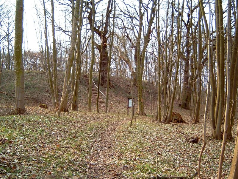 Blick zum Burgwall