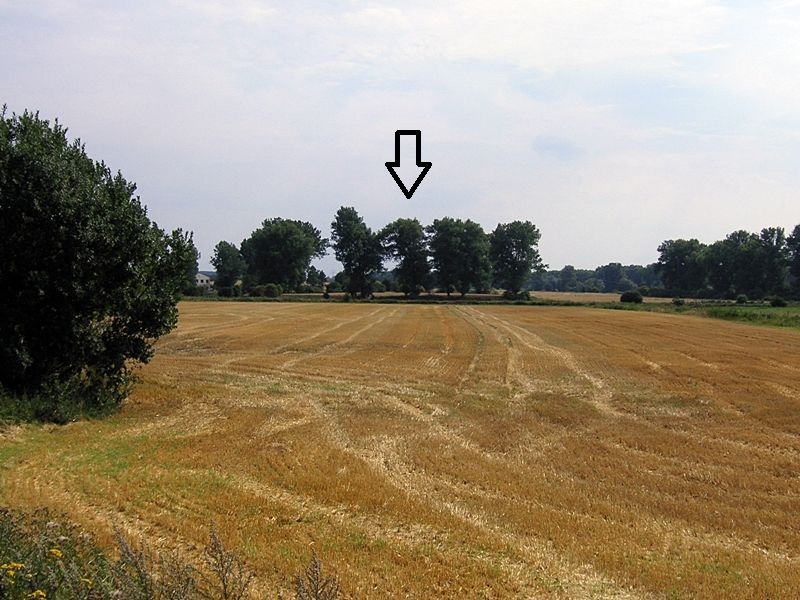 Blick zum Burgwall