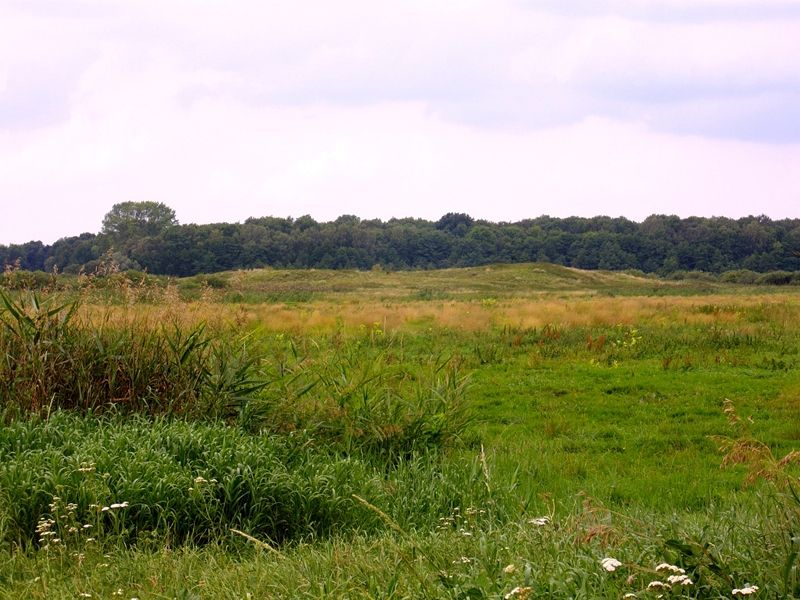 Slawischer Burgwall bei Mölln in Mecklenburg-Vorpommern, Landkreis Demmin