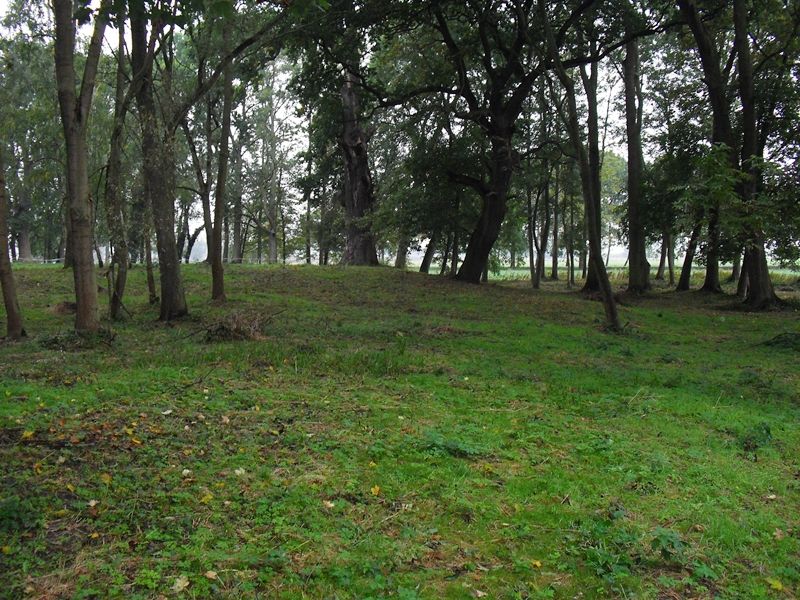 Burgwall Pleetz