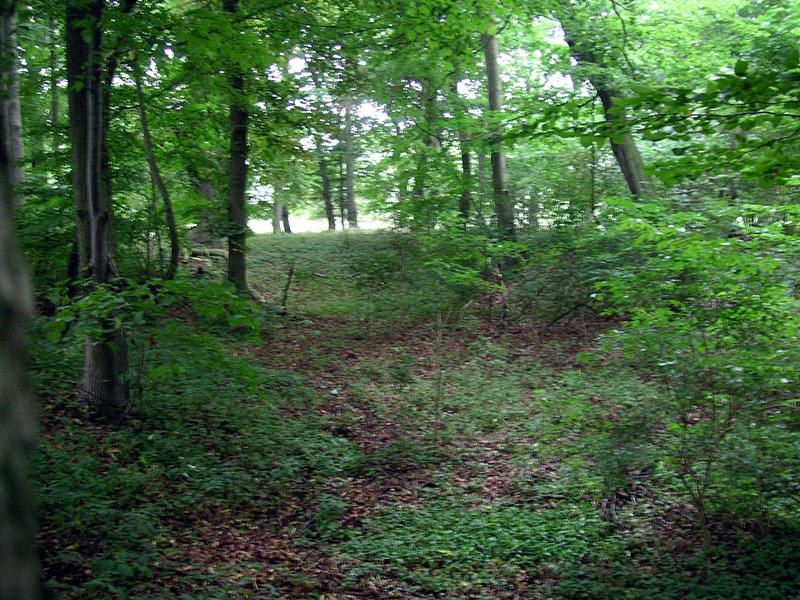 Blick vom Wall auf die Burg