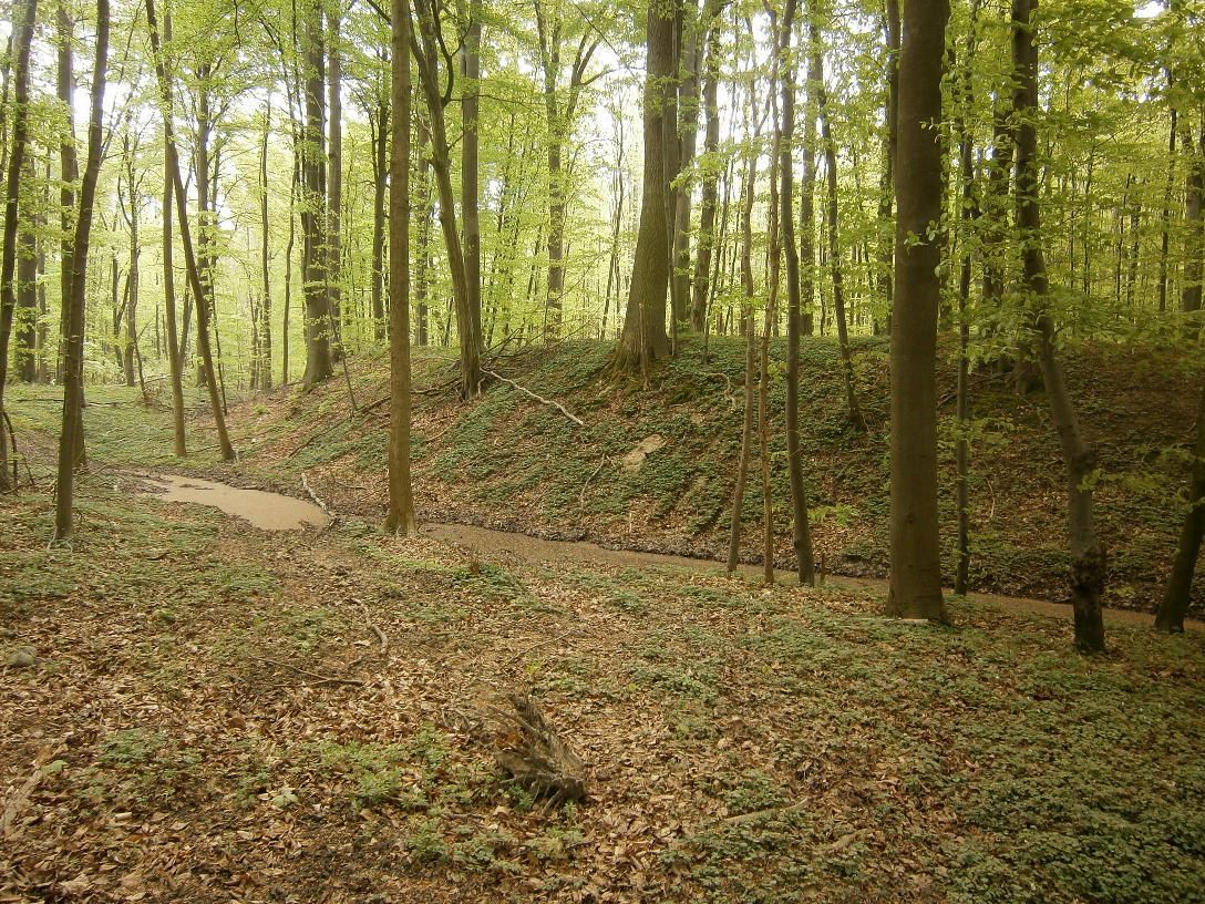 Äußerster Vorwall