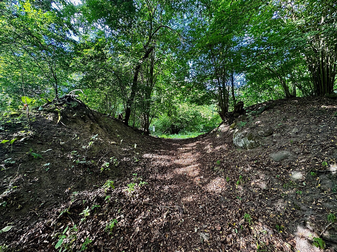 Blick auf den bewachsenen Burgwall der Hauptburg in Zislow