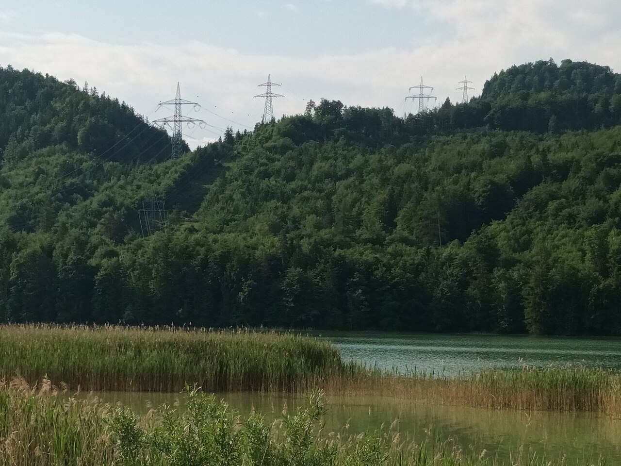 Der Burkenbichlberg, Ansicht von Nordwesten vom Weißenseeufer bei Füssen-Moos