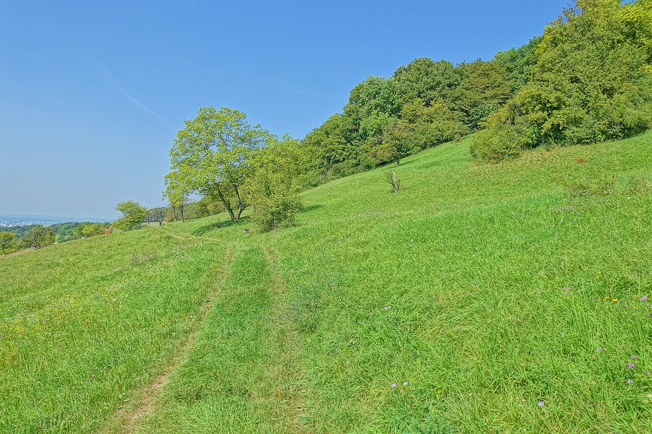 Foto von Buttenberghalde