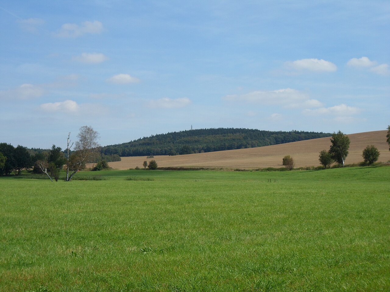 Butterberg mountain near Bischofswerda