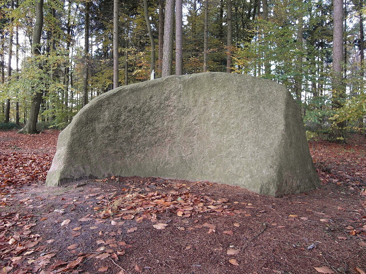 Erratic block "Butterstein" (butter stone) near Vehrte (Lower Saxony)