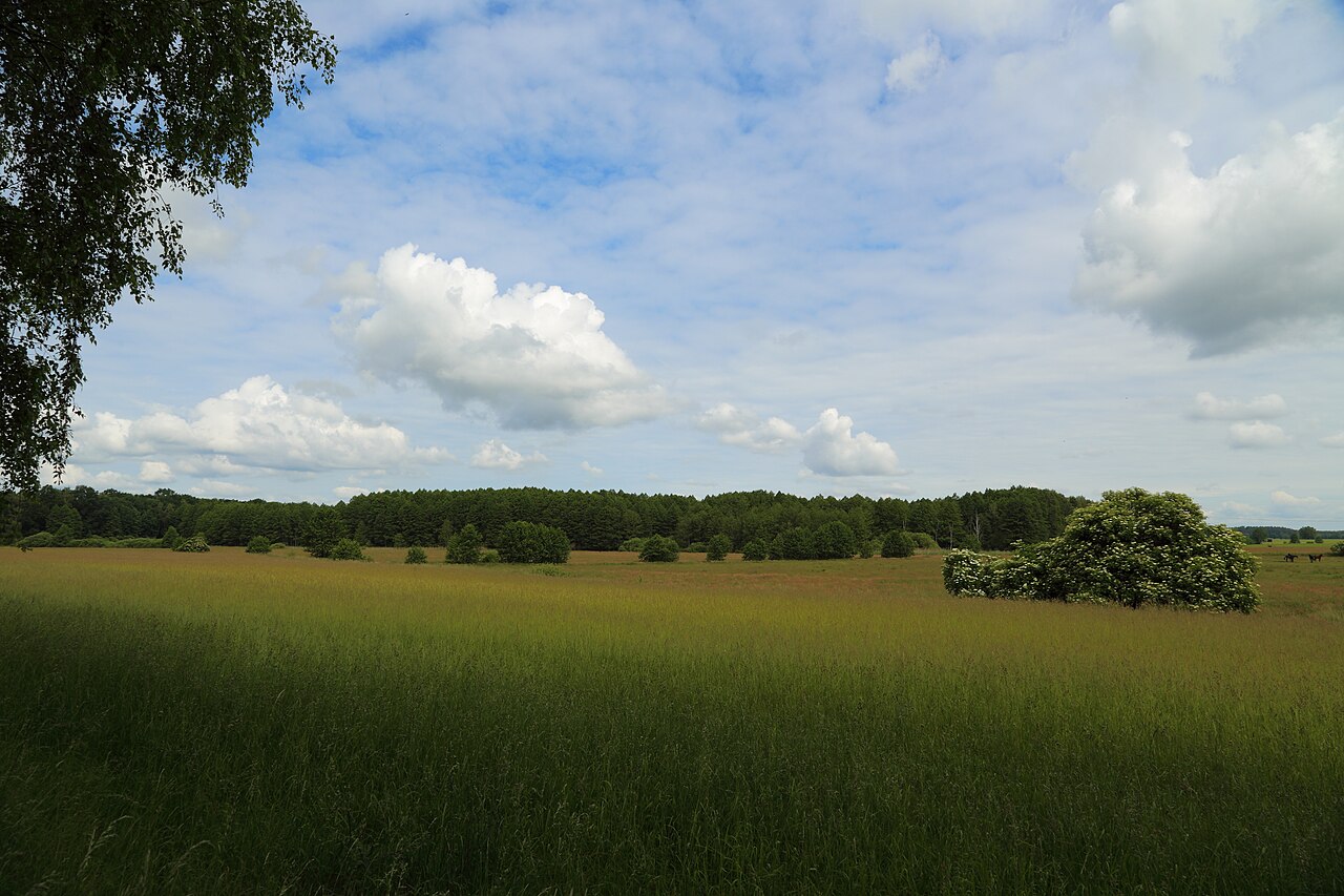 Foto von Byhleguhrer See - Běłogórjański jazor