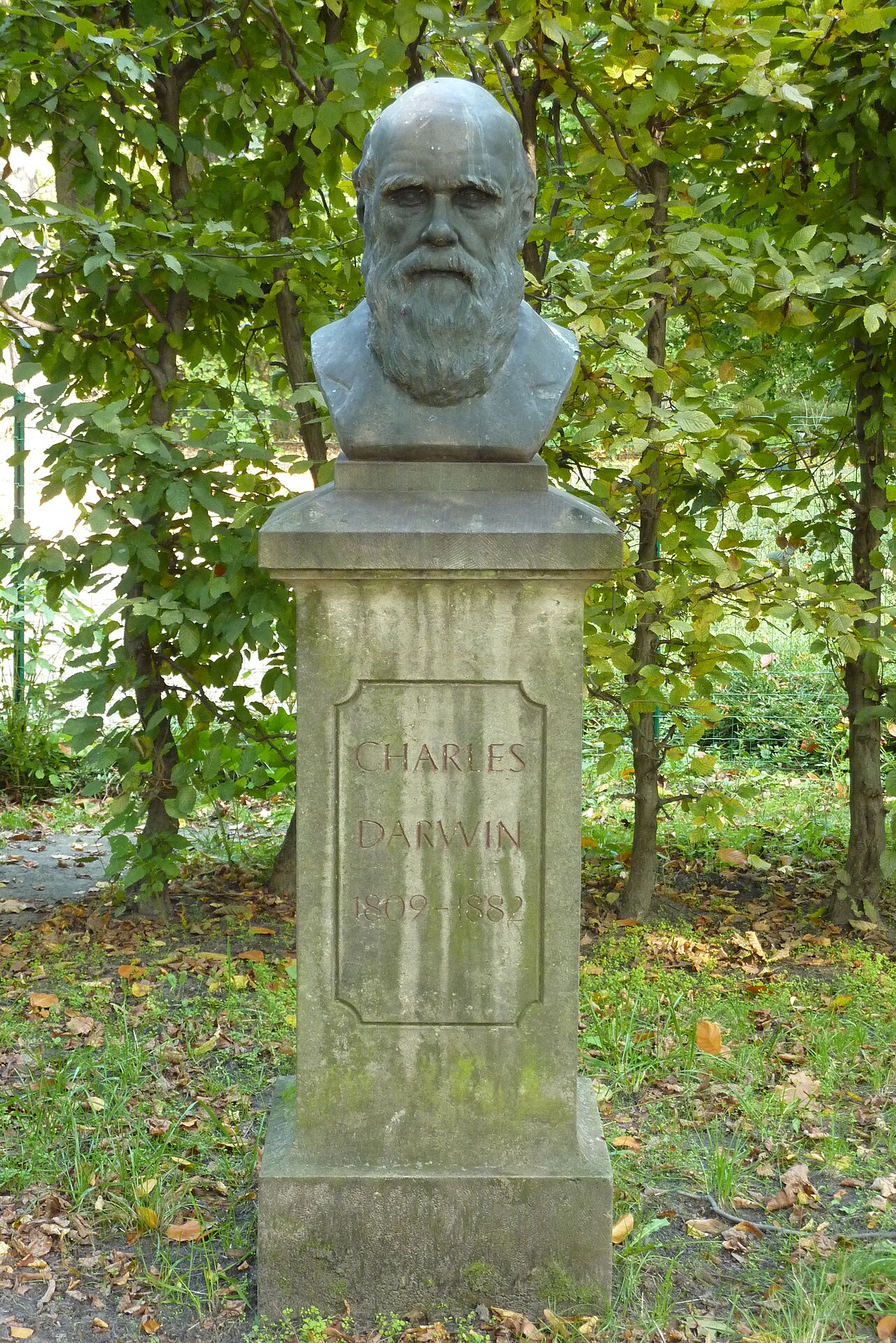 Büste Charles Darwin von Senta Baldamus aus dem Jahr 1994