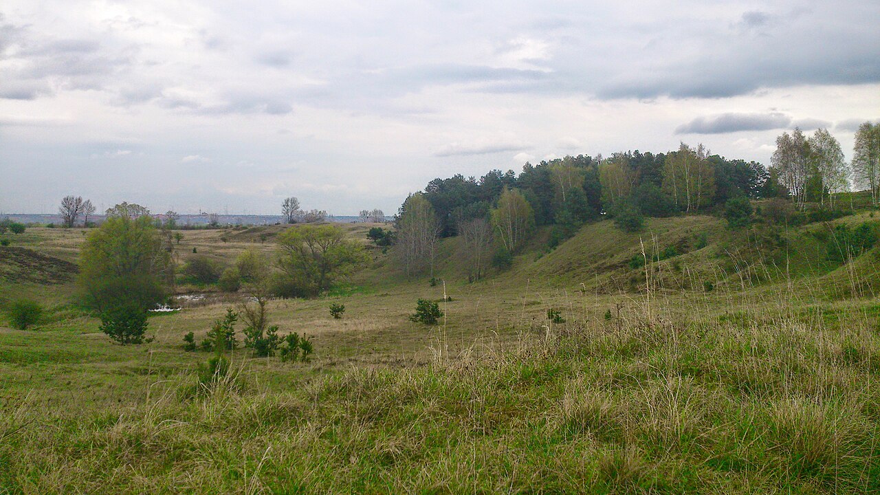 Hills and forest ("Charlottenhöhe" nature reserve, Uckermark/Germany)