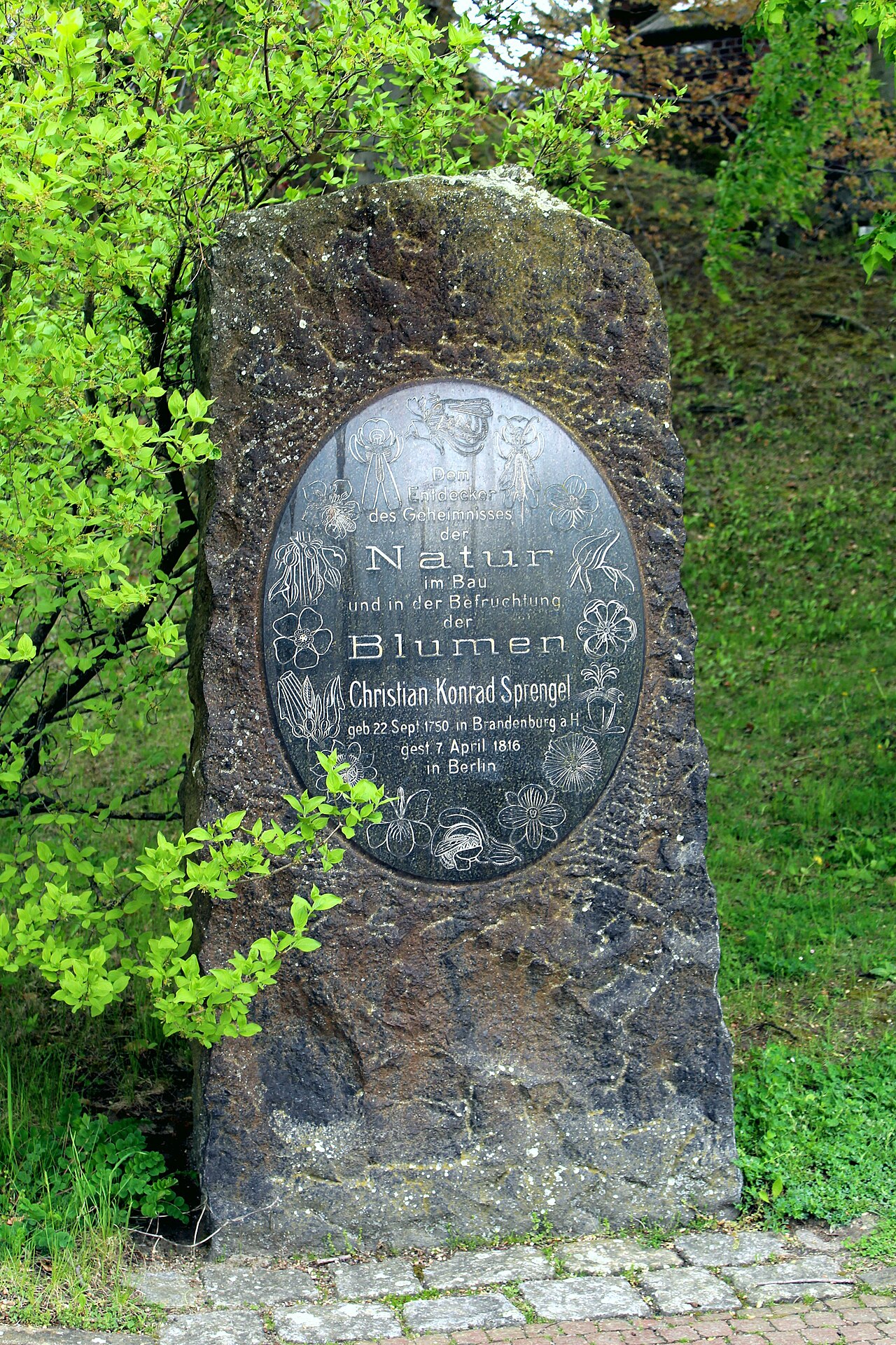 Berlin-Dahlem, botanical garden, Christian Konrad Sprengel memorial stone