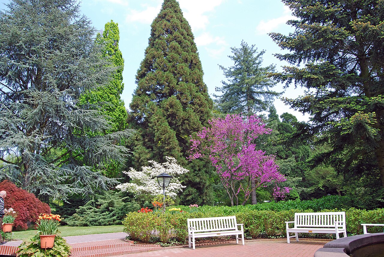 Park in Lahr