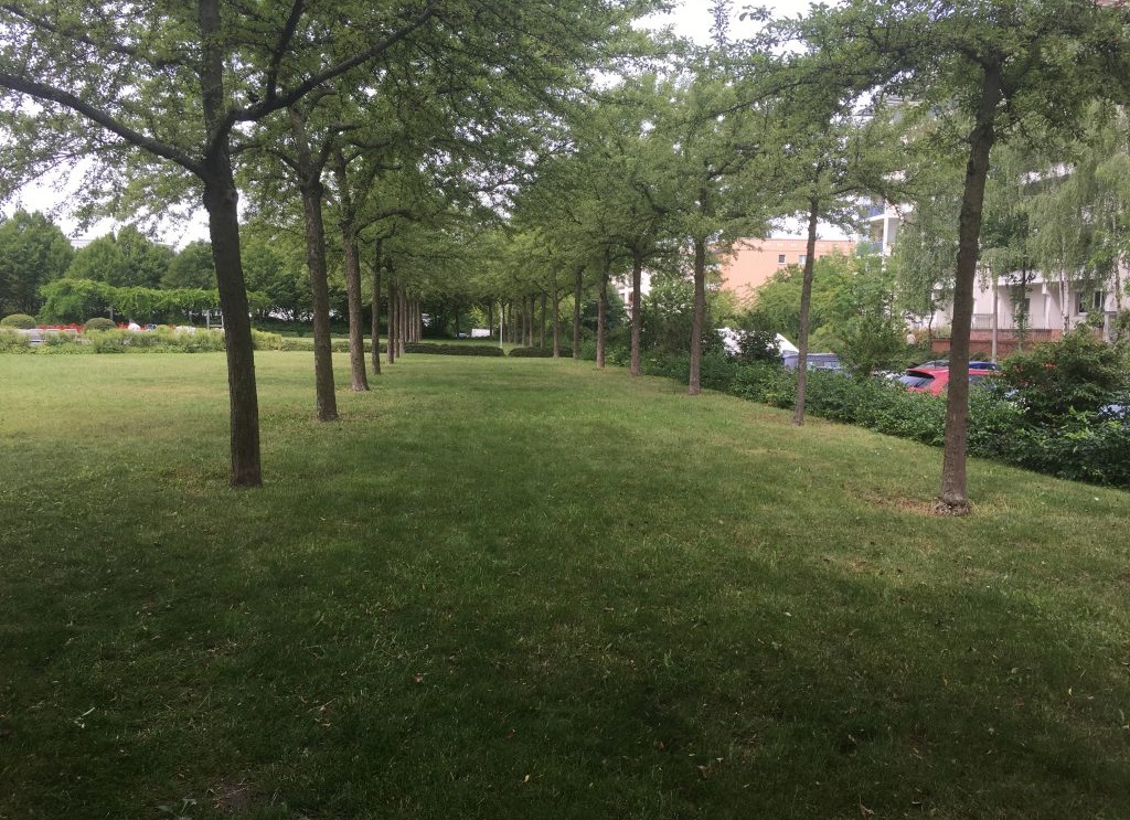 Clara-Zetkin-Platz in Marzahn-Hellersdorf