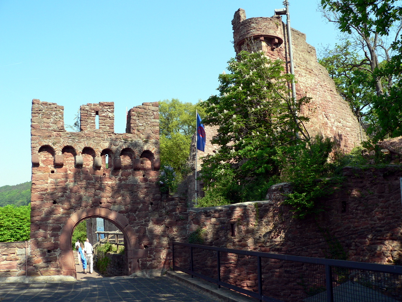 Die Clingenburg oberhalb von Klingenberg am Main, Germany