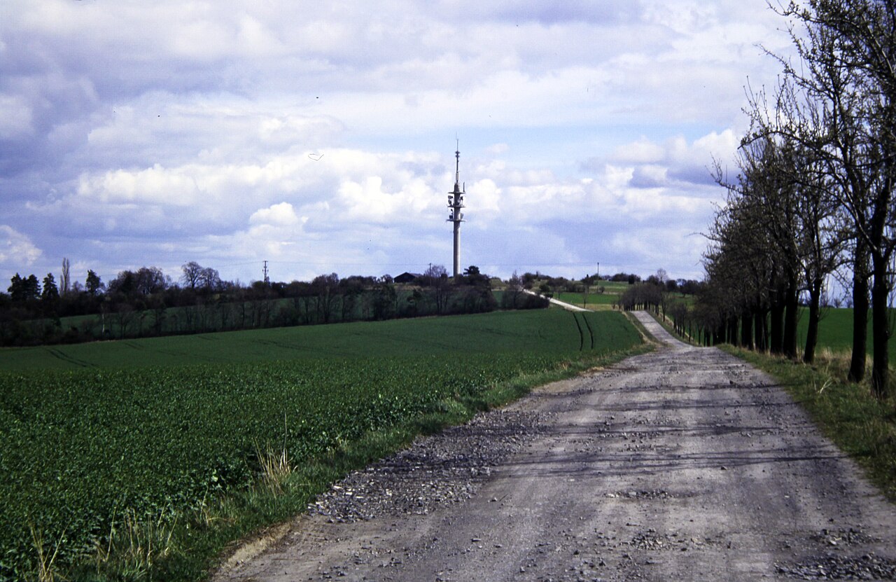 Cospoth, 1998