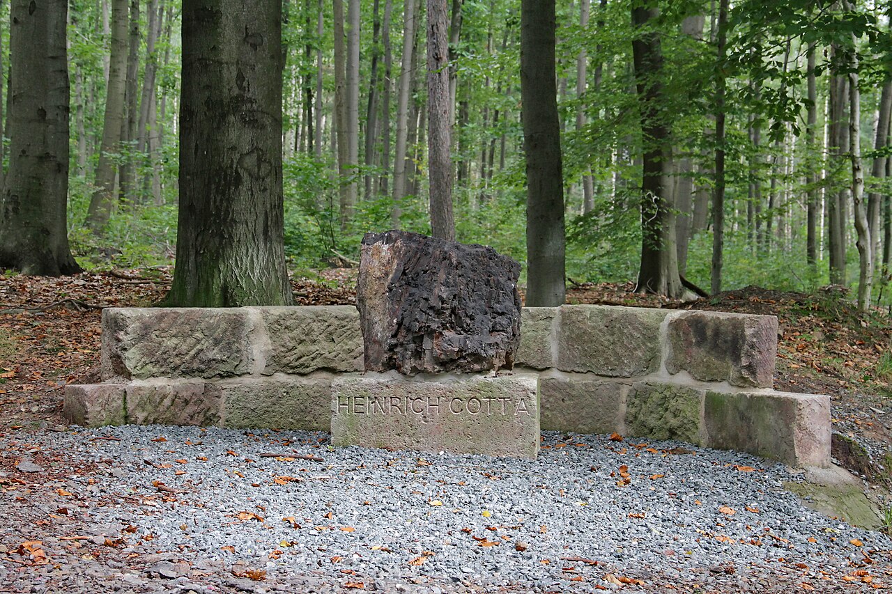 Im Zeisigwald in Chemnitz