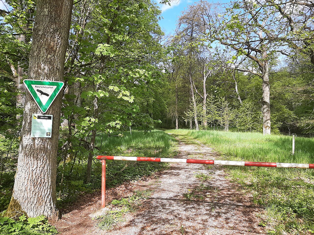 Nature reserve Crailsheimer Eichswald, Crailsheim, Germany 2021