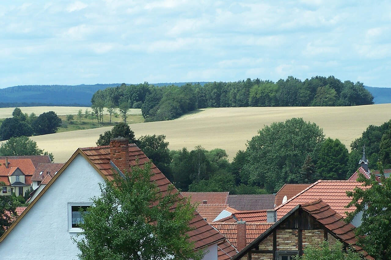 Blick über Meimers nach Westen zum "Dänischen Berg"