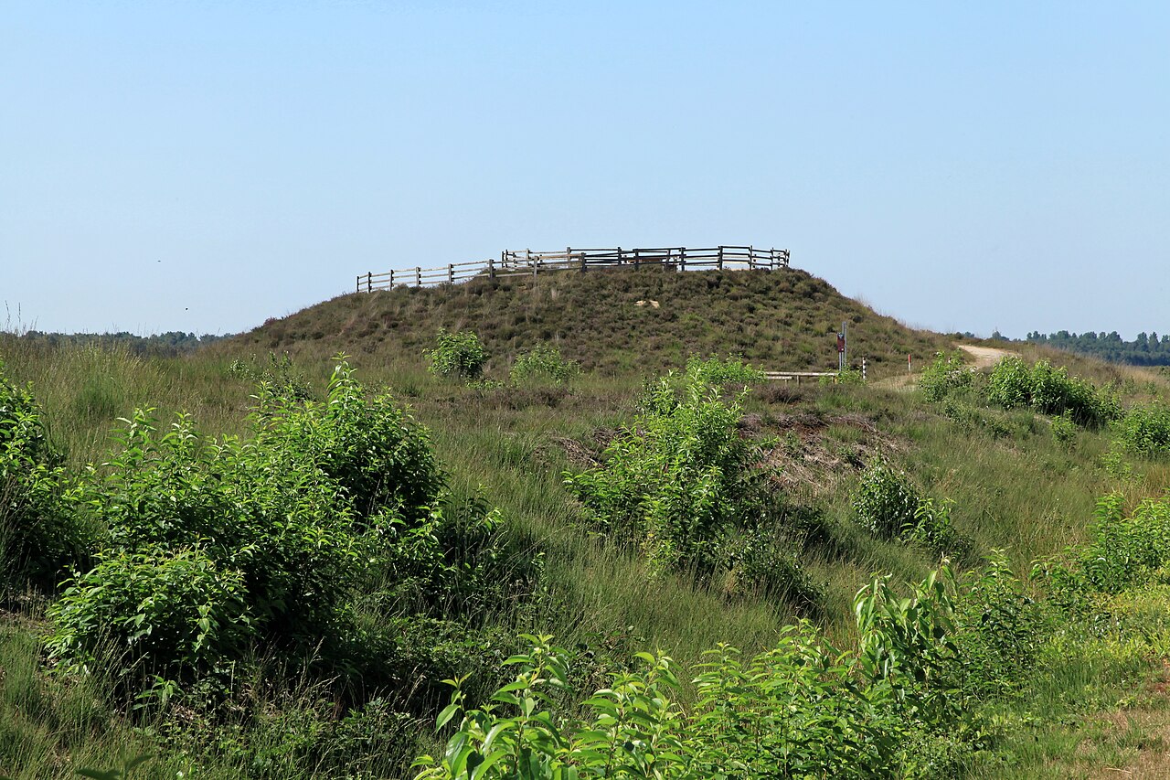 Aussichtshügel, Zum Hügel im Dalum-Wietmarscher Moor in Geeste