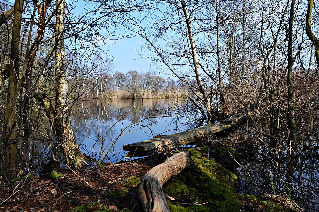 Naturschutzgebiet Darnsee in Bramsche (Landkreis Osnabrück)