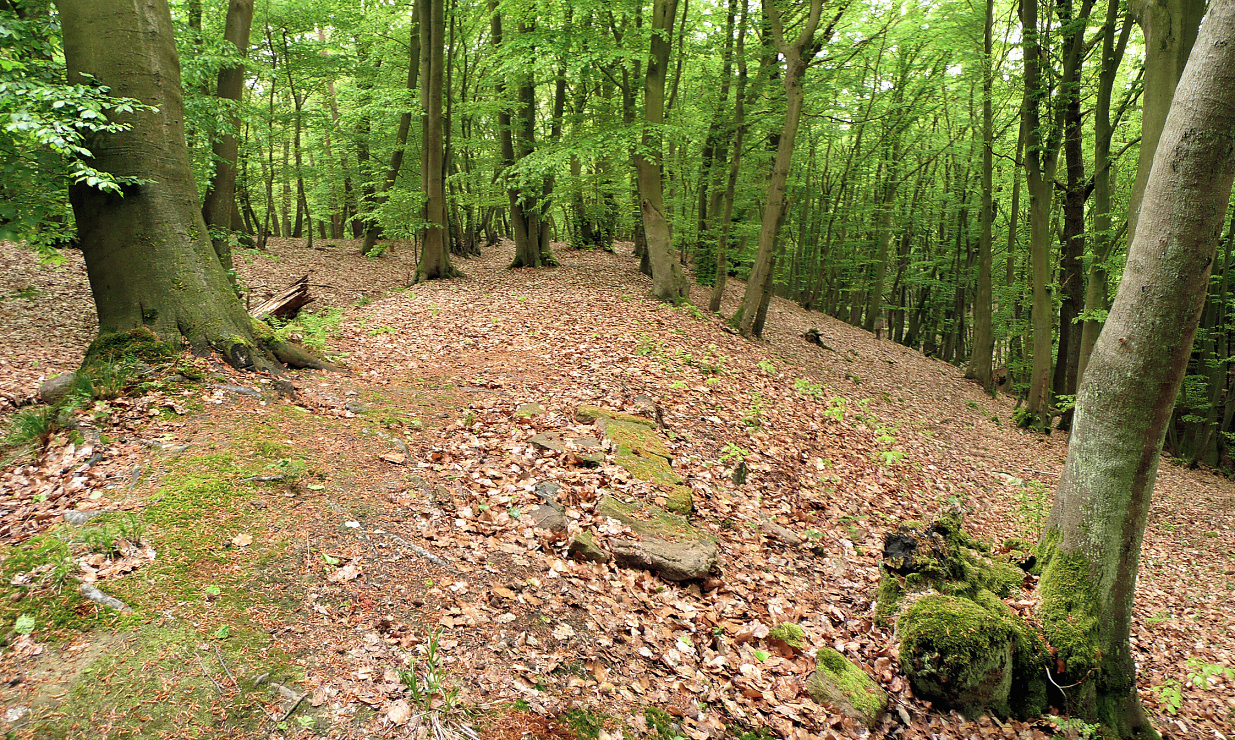 Dehmer Burg