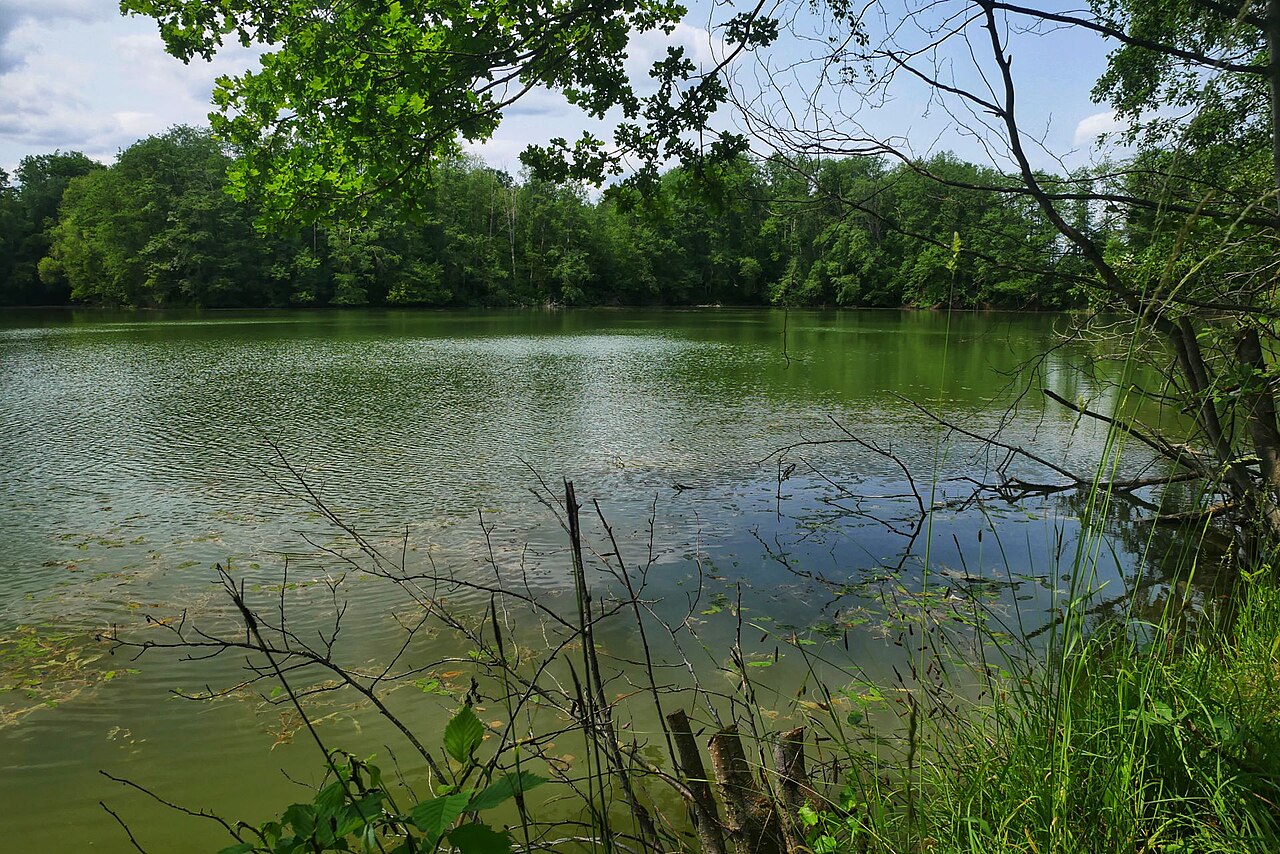 Blick auf den Dehrner Teich direkt vom östlichen Ufer