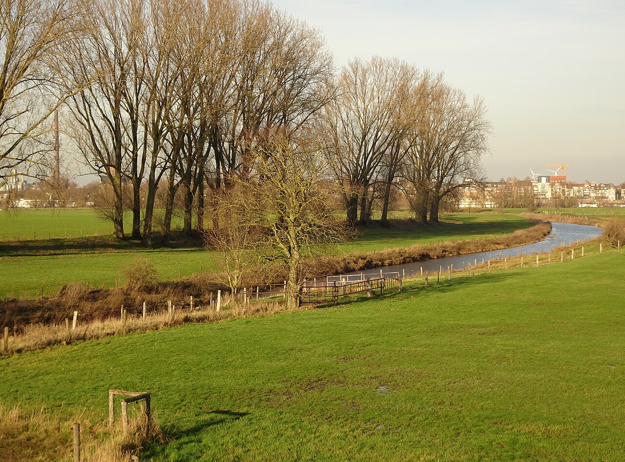 Kalkar Rheinuferstraße, veebocht aan de Kalflack