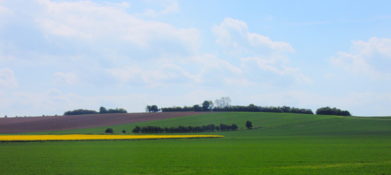 Der Delmer Berg oder auch Delmberg von Nordwest