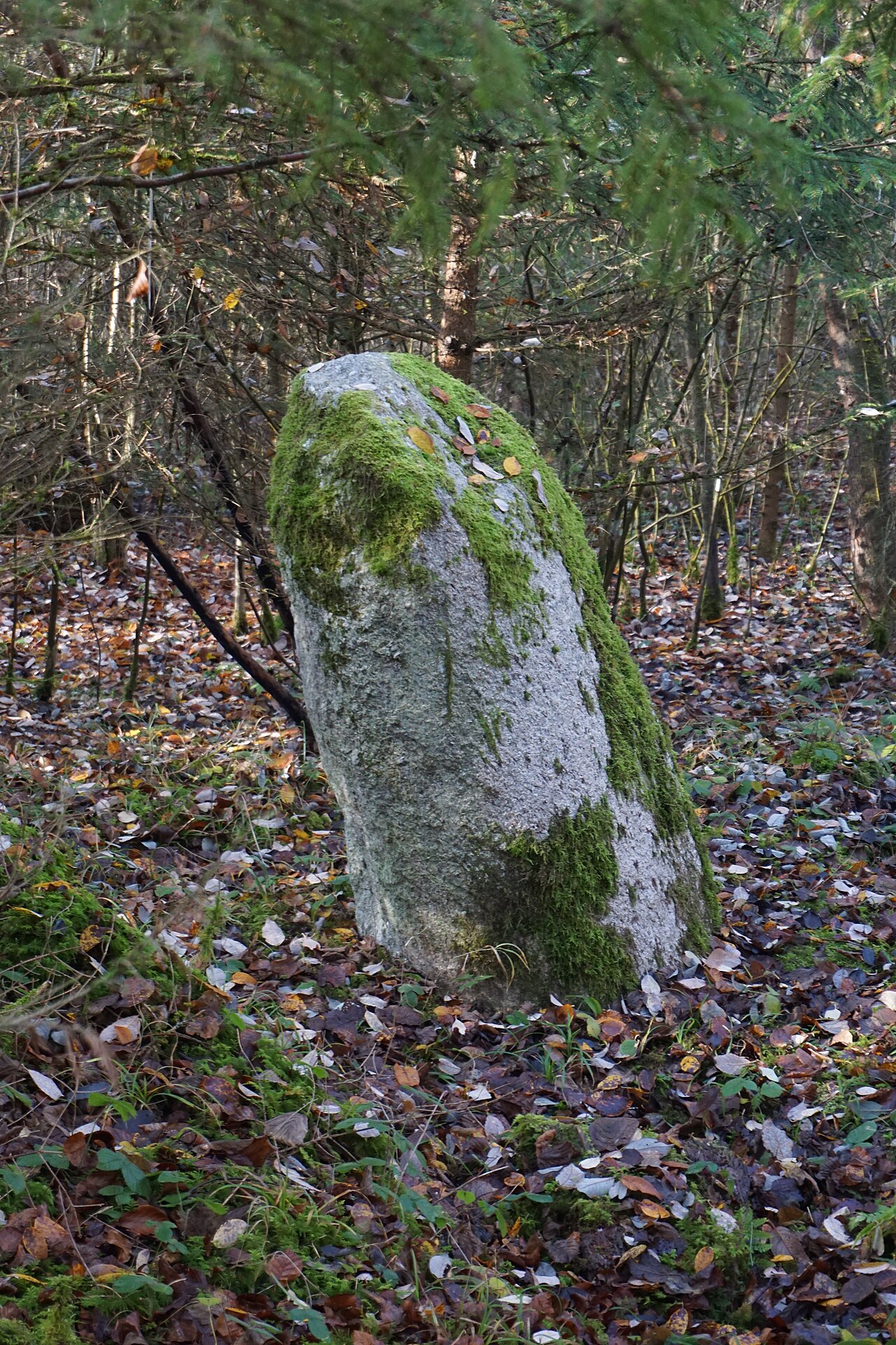 Menhir bei Dossenbach ("Der Stein")