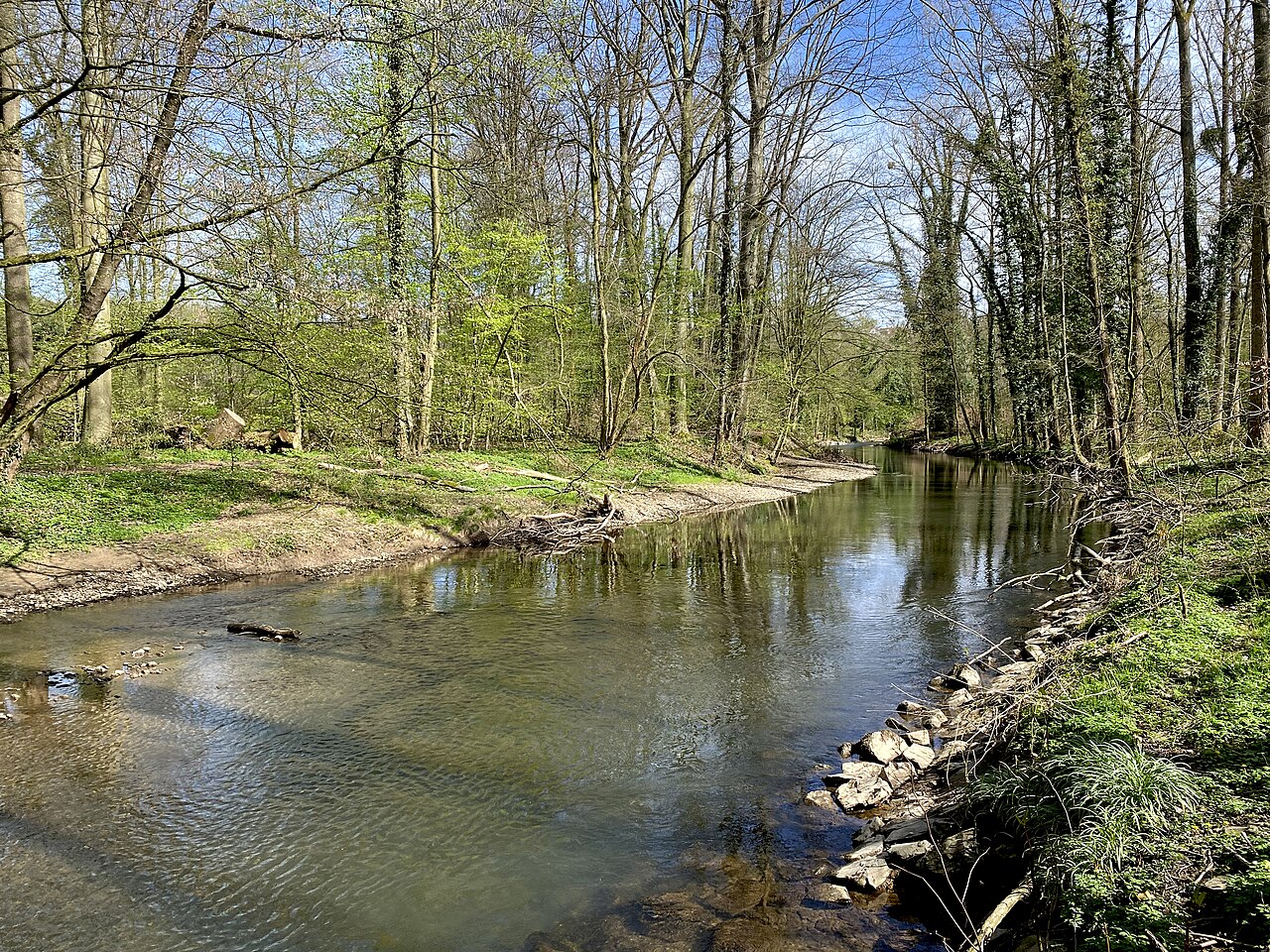 Foto von Dhünnaue
