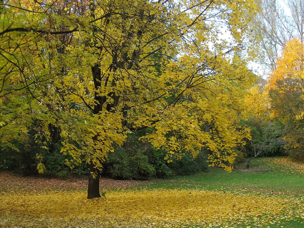 Dichtergarten, München