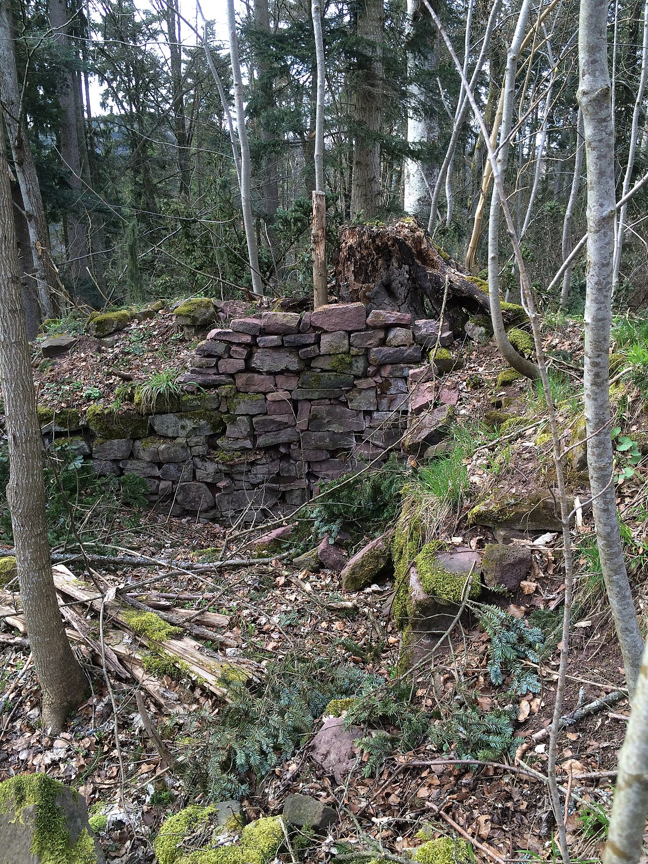 Mauerreste Dickener Schlössle