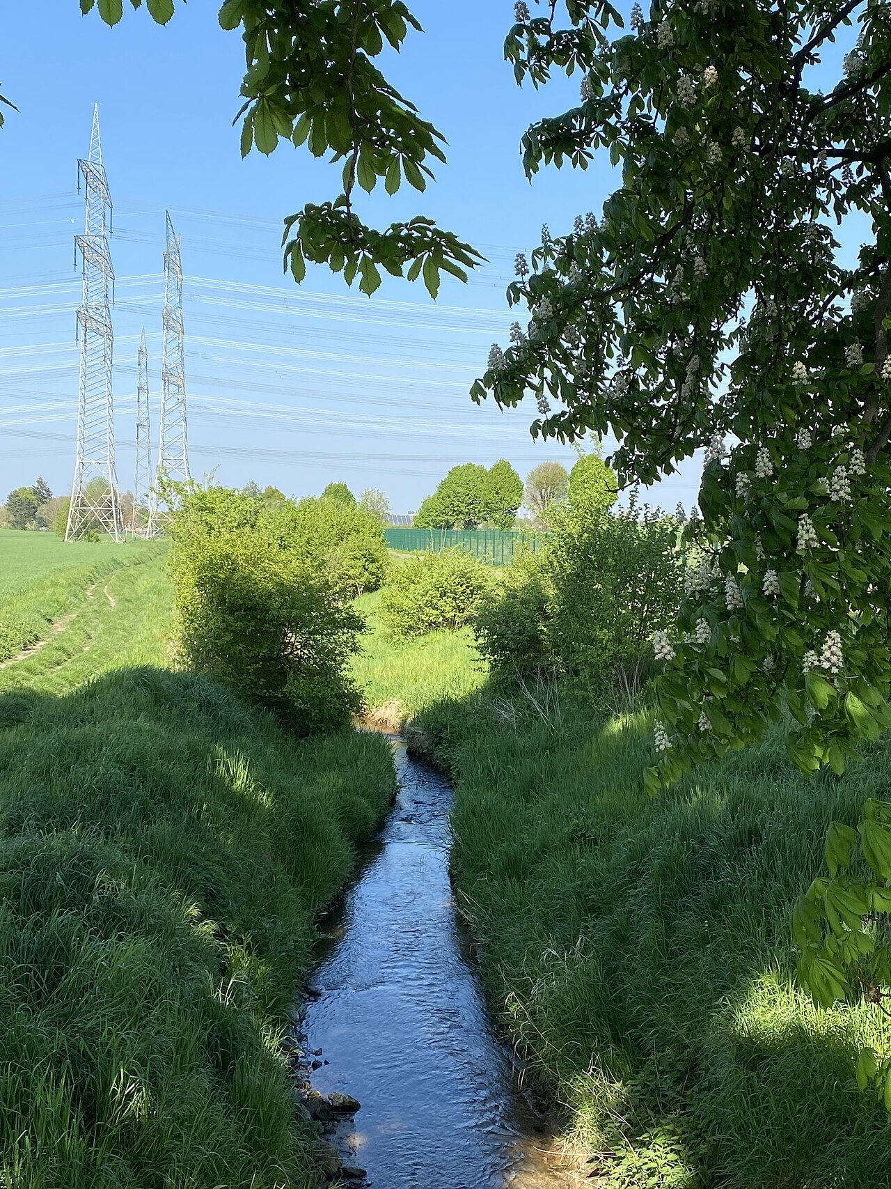 Dickopsbach Richtung Wesseling