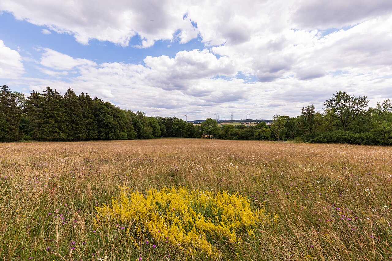 Die Heck bei Hohenroth - Naturschutzgebiet im Lahn-Dill-Kreis