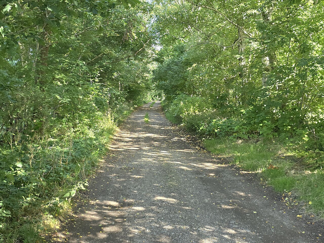 Nature reserve Die Scheidung
