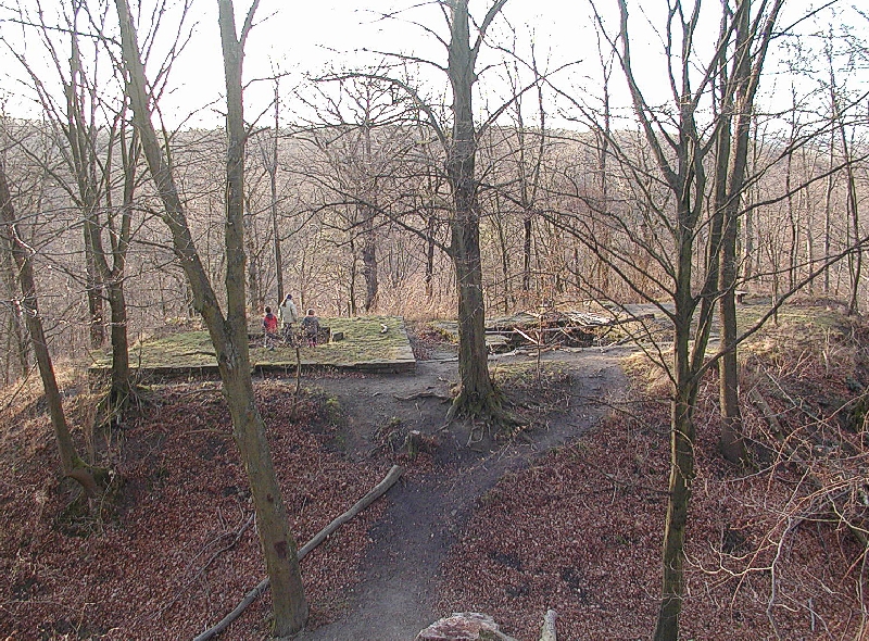 Die Burg Dischingen im Wald bei Weilimdorf