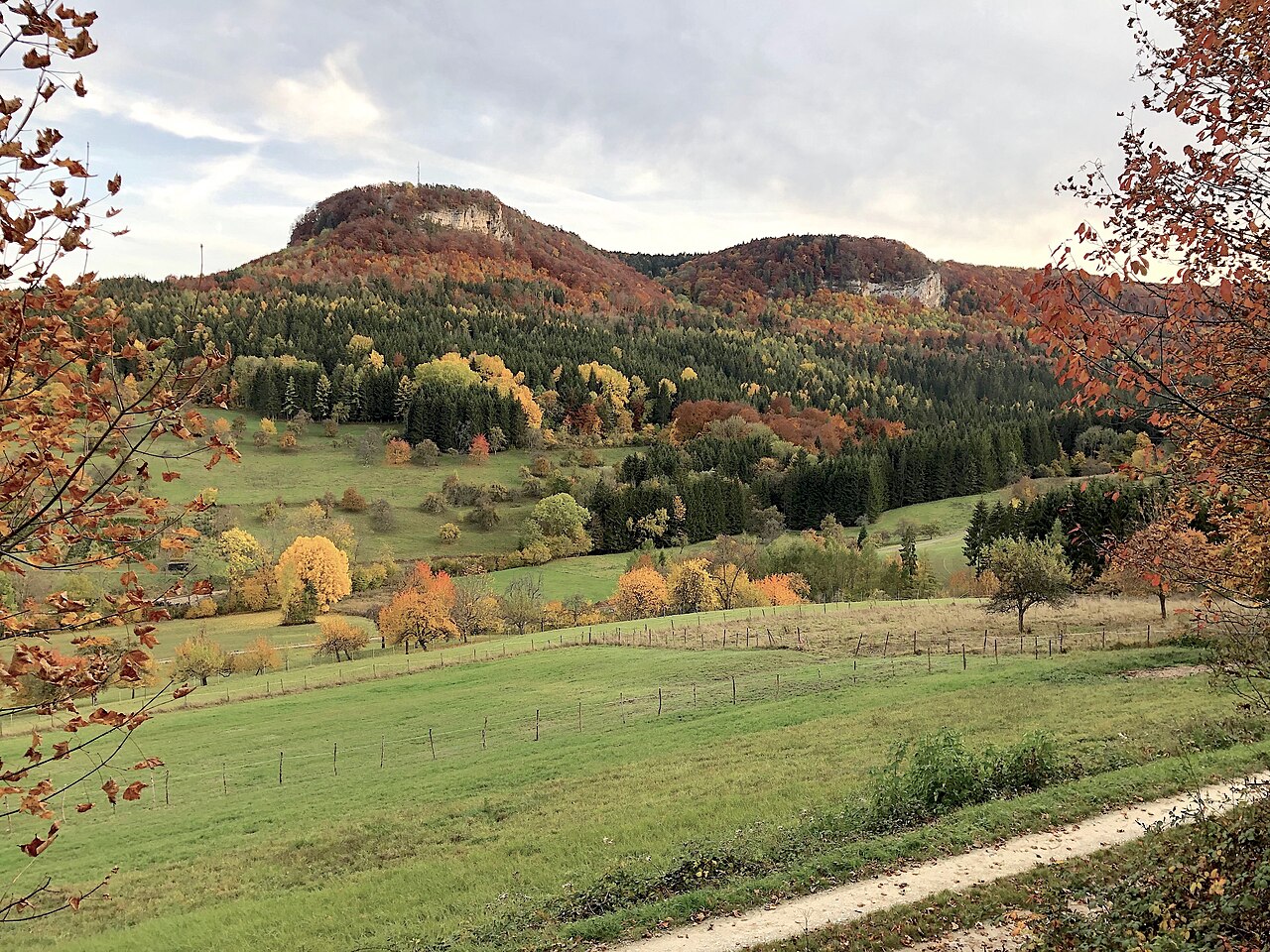 Blick über das Wald- und Naturschutzgebiet Dobelwiesen (Nr