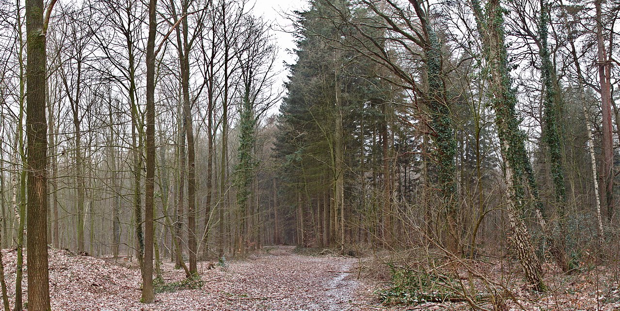 Foto von Döhler Wehe