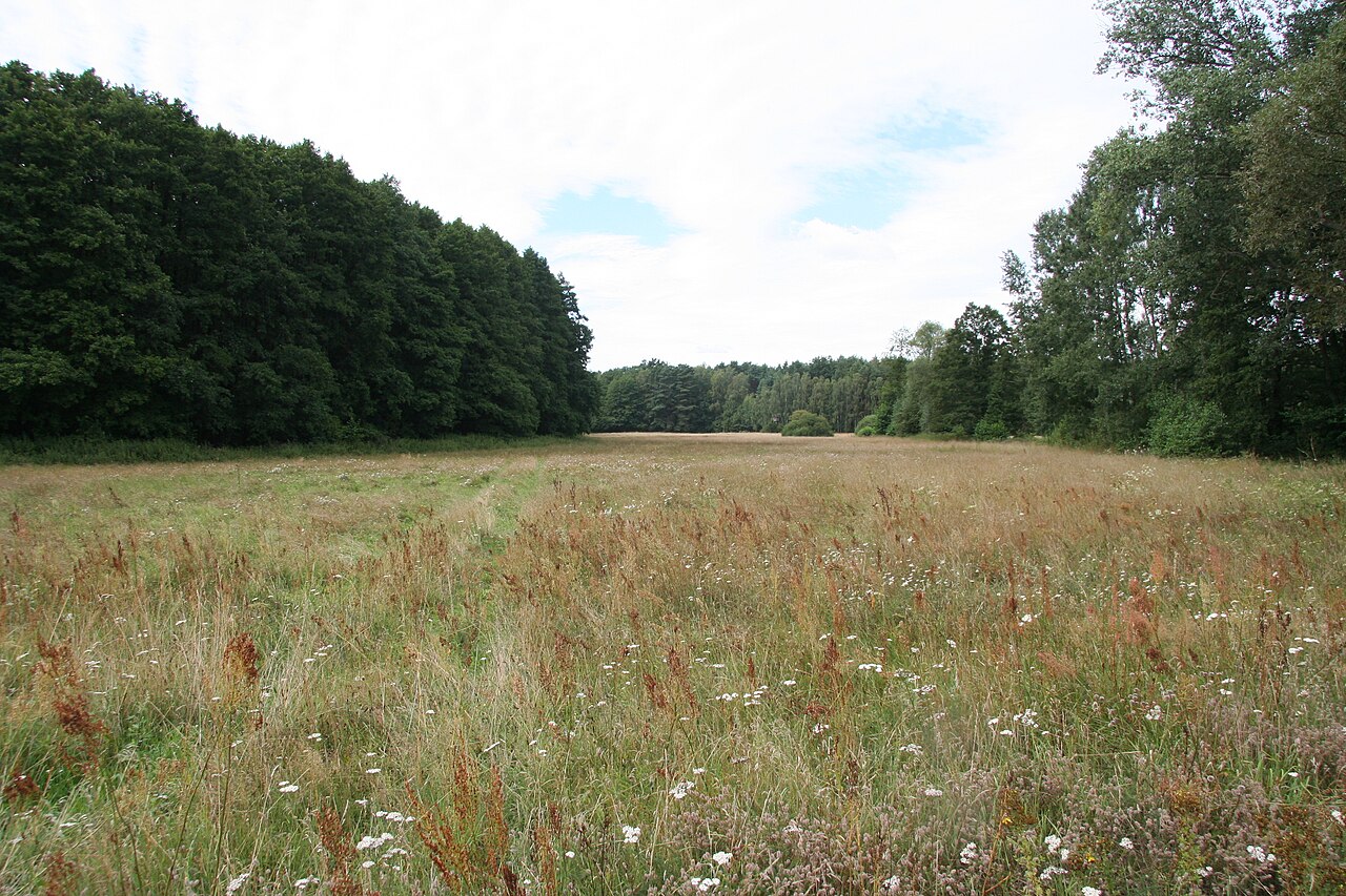 FFH-Gebiet und Naturschutzgebiet "Dollgener Grund"