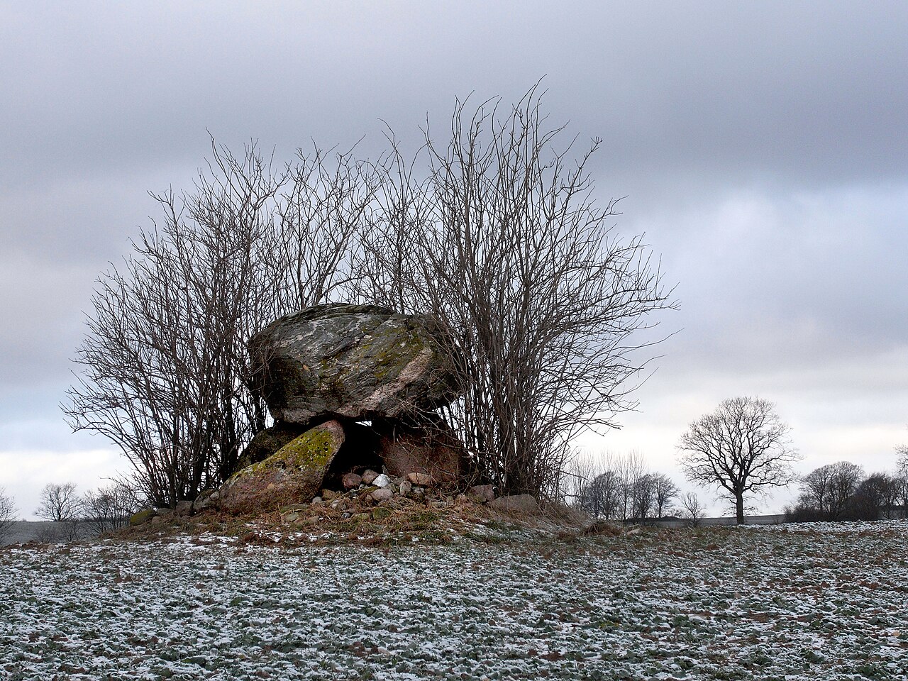 Der Dolmen von Sophienhof