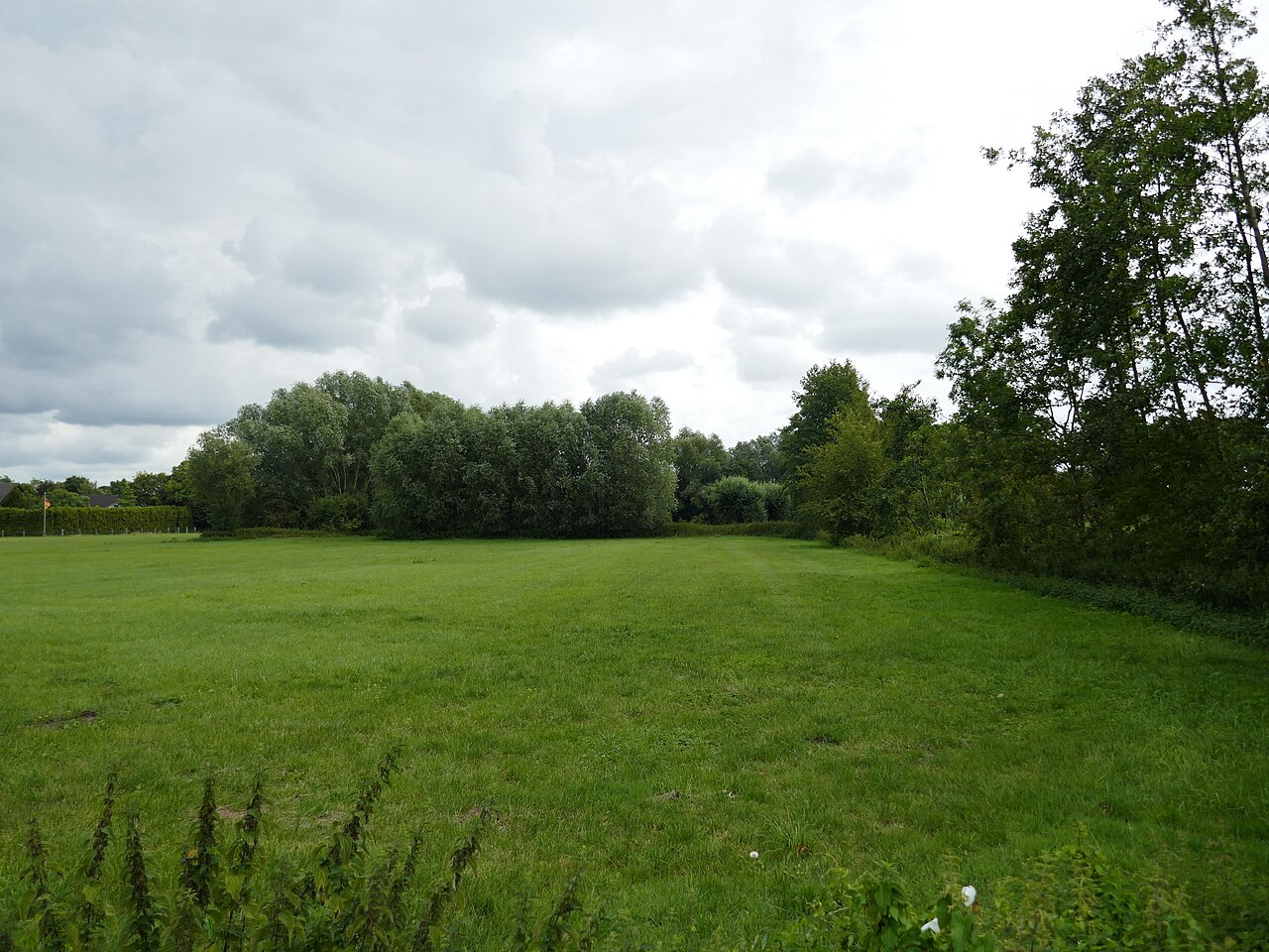 Naturschutzgebiet Dorffeld bei Alverskirchen