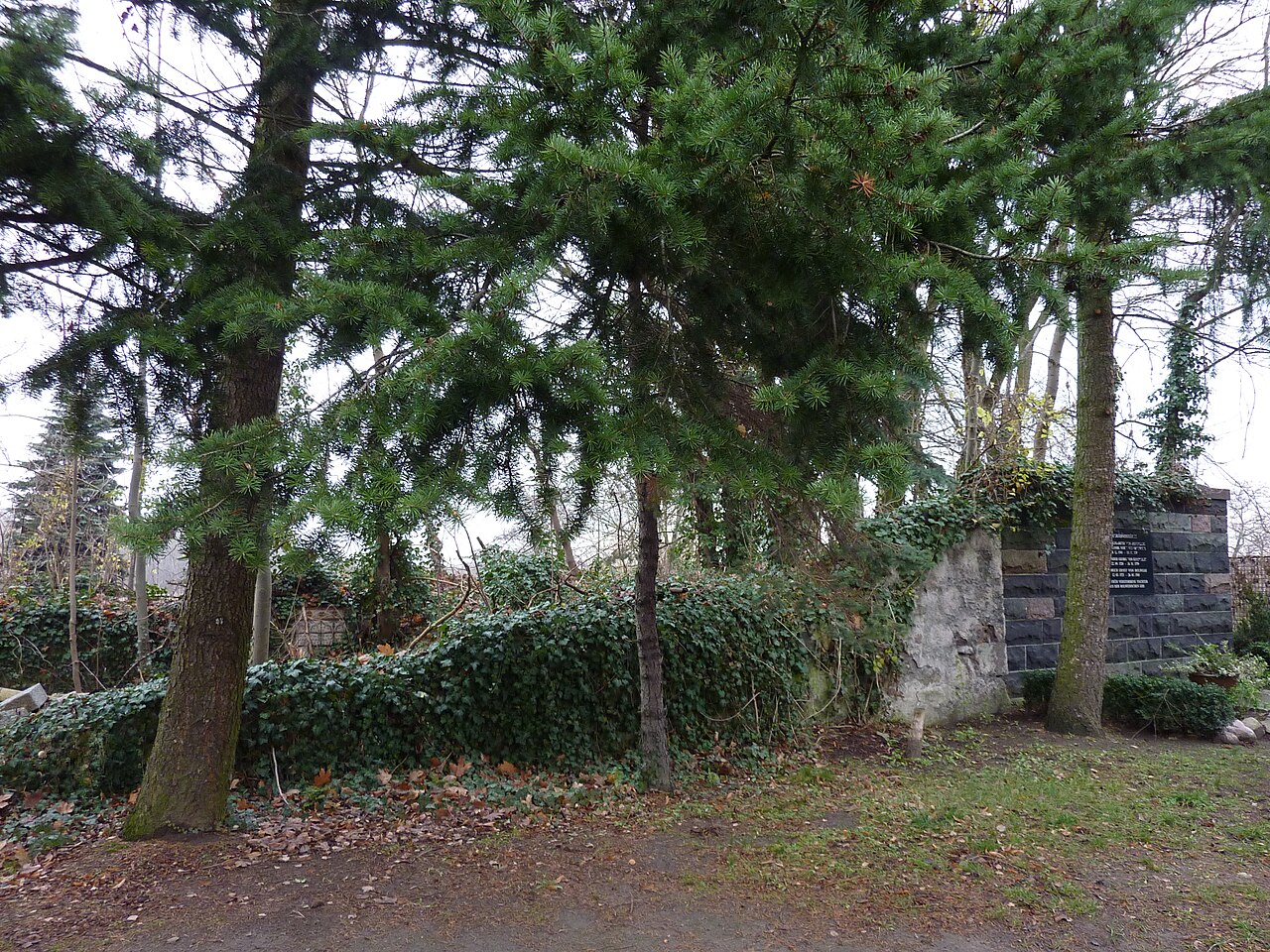 Ruine der Dorfkirche in Berlin-Falkenberg