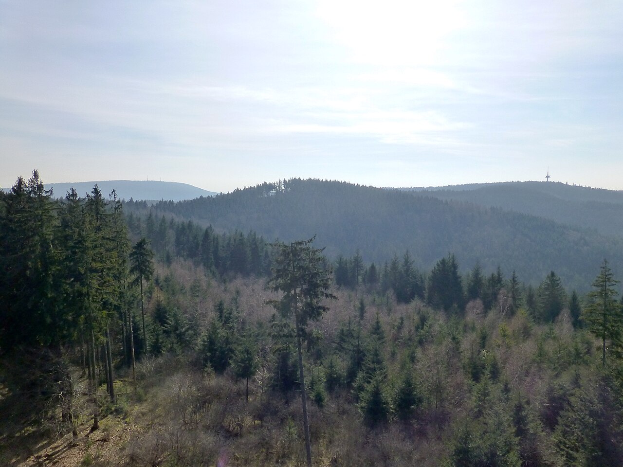 Blick vom Teltschikturm zum Dossenheimer Kopf