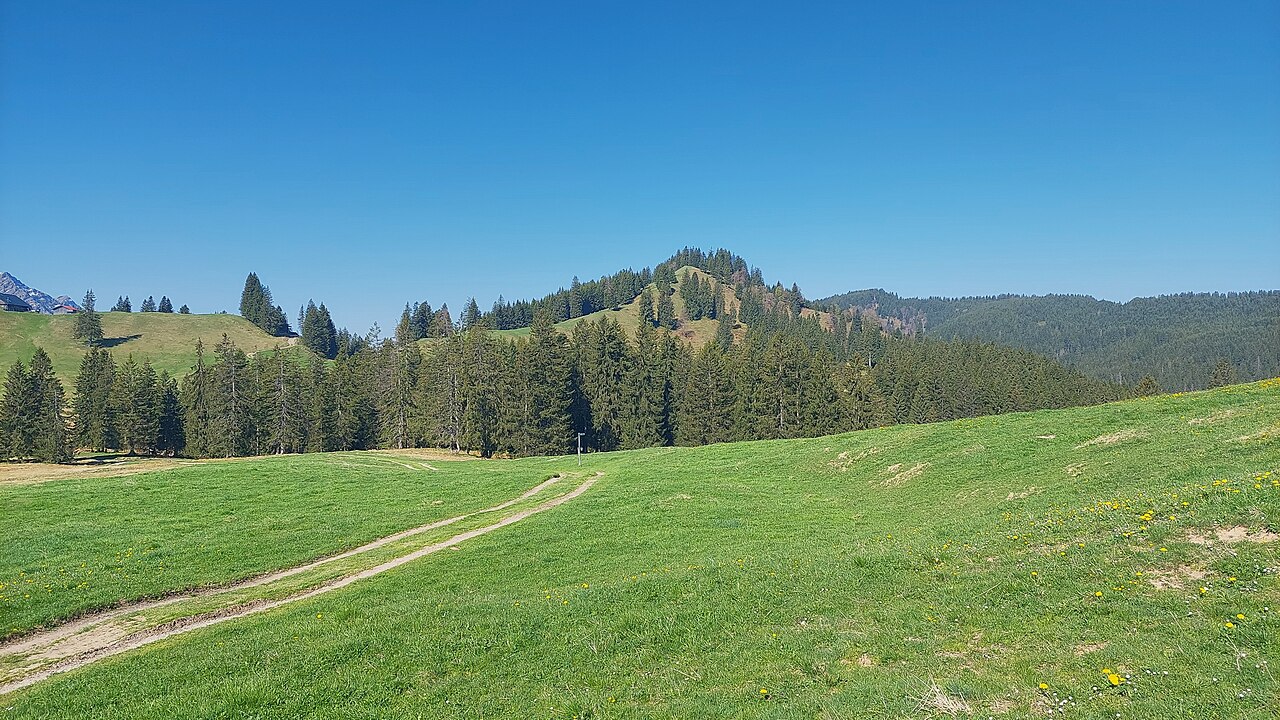 Dreherberg, view from east